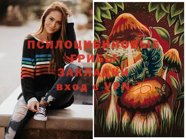 не бодяженный Абаза