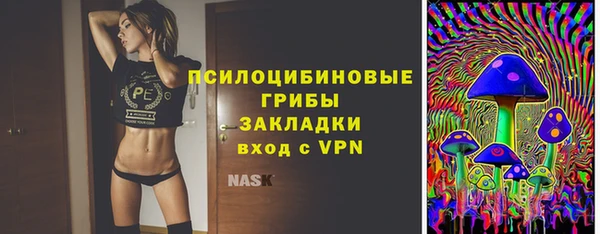 прущие грибы Алзамай