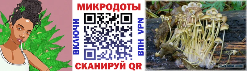 что такое   Красноуфимск  Псилоцибиновые грибы Magic Shrooms 